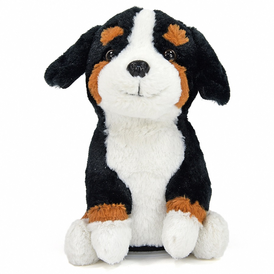 Laber-Berner-Sennenhund "Rocky"