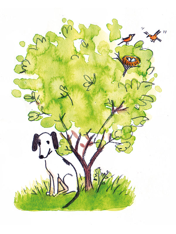 Jona und Mira: Jona wünscht sich einen Hund
